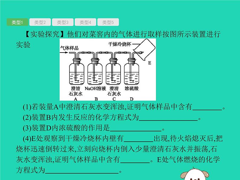 初中化学中考复习 课标通用中考化学总复习专题5实验探究题中考课件PPT06