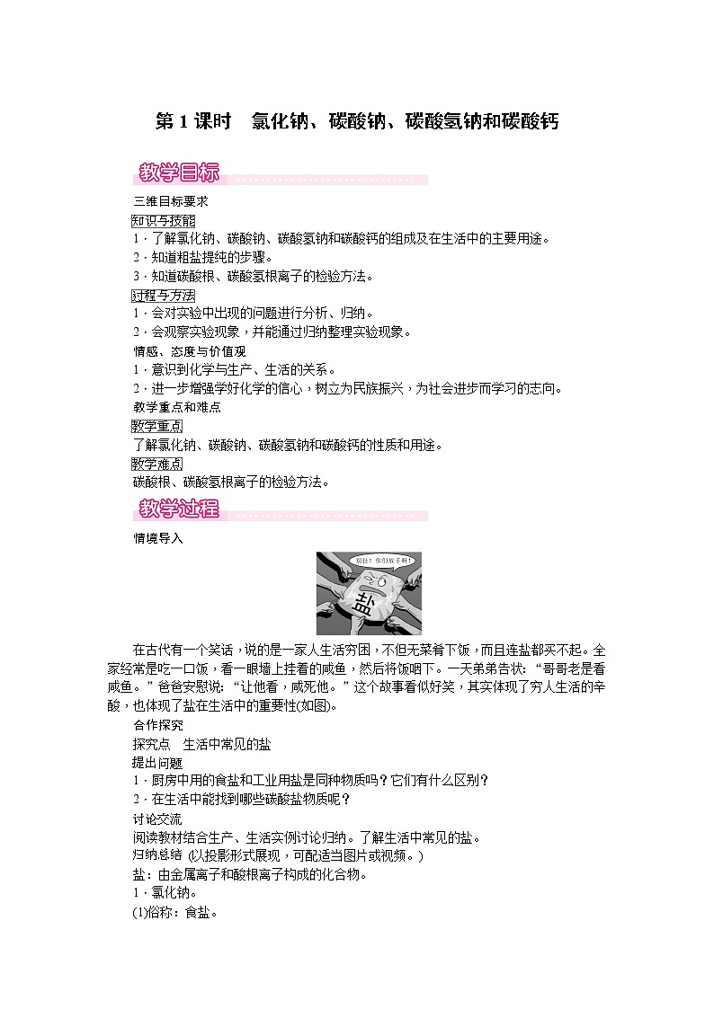 课题1《生活中常见的盐》第1课时 课件+教案+导学案（含同步练习）+实验视频01