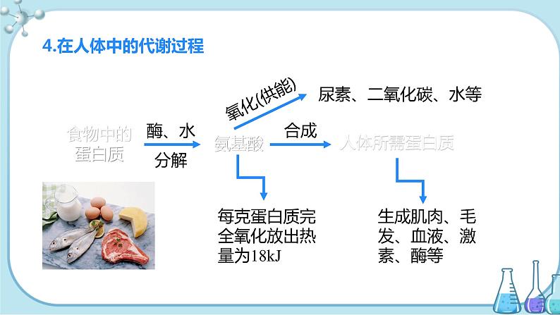 课题1《人类重要的营养物质》课件+教案+导学案（含同步练习）+实验视频08