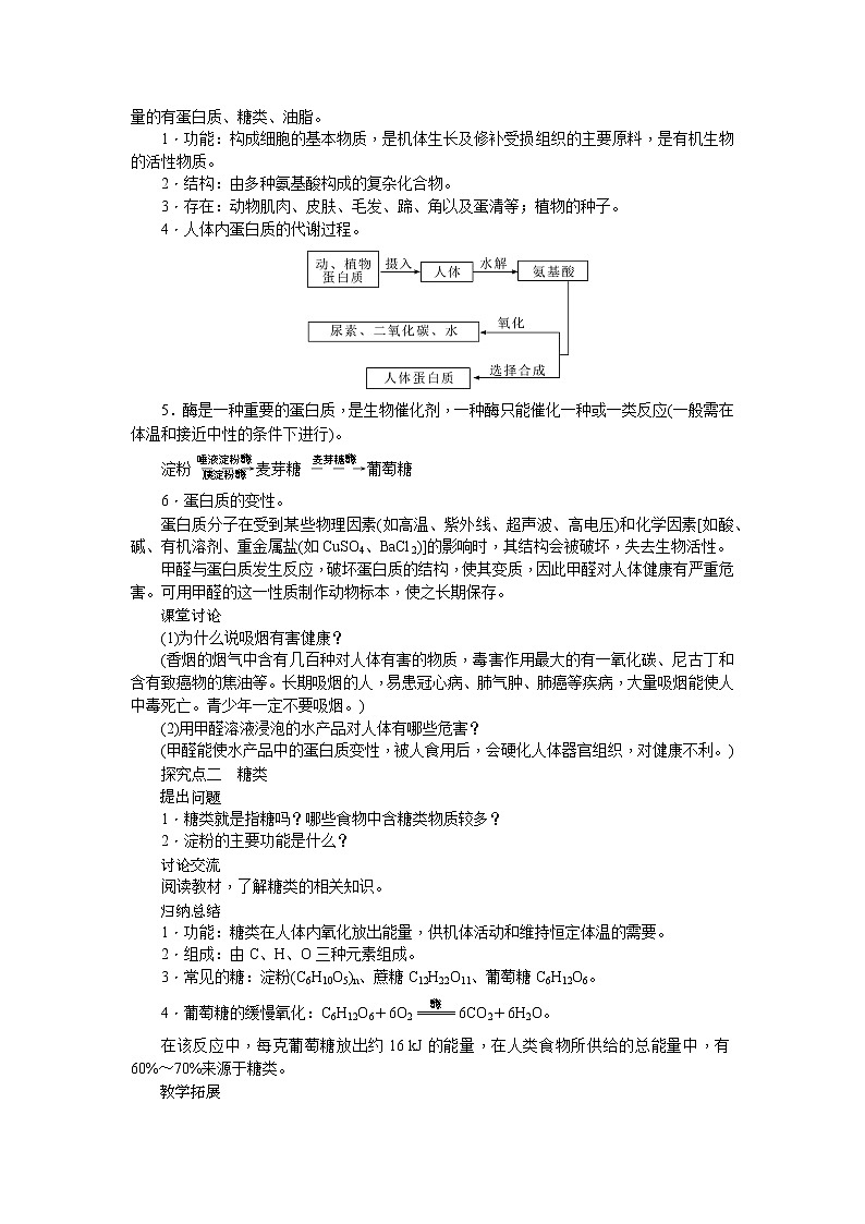 课题1《人类重要的营养物质》课件+教案+导学案（含同步练习）+实验视频02