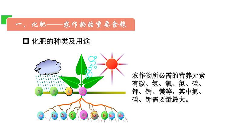 11.3 化学与农业生产 课件-2022-2023学年九年级化学鲁教版下册第3页