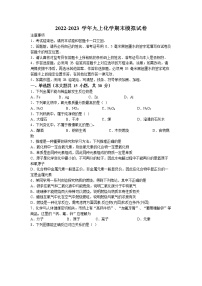 河南省周口市扶沟县2022-2023学年九年级上学期期末联考模拟化学试题