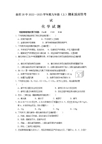 四川省自贡市第二十八中学2022-2023学年九年级上学期期末适应性考试化学试题