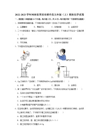 2022-2023学年河南省开封市通许县九年级（上）期末化学试卷