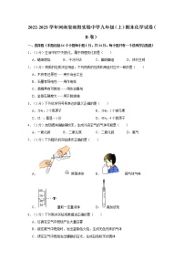 2022-2023学年河南省南阳实验中学九年级（上）期末化学试卷（b卷）