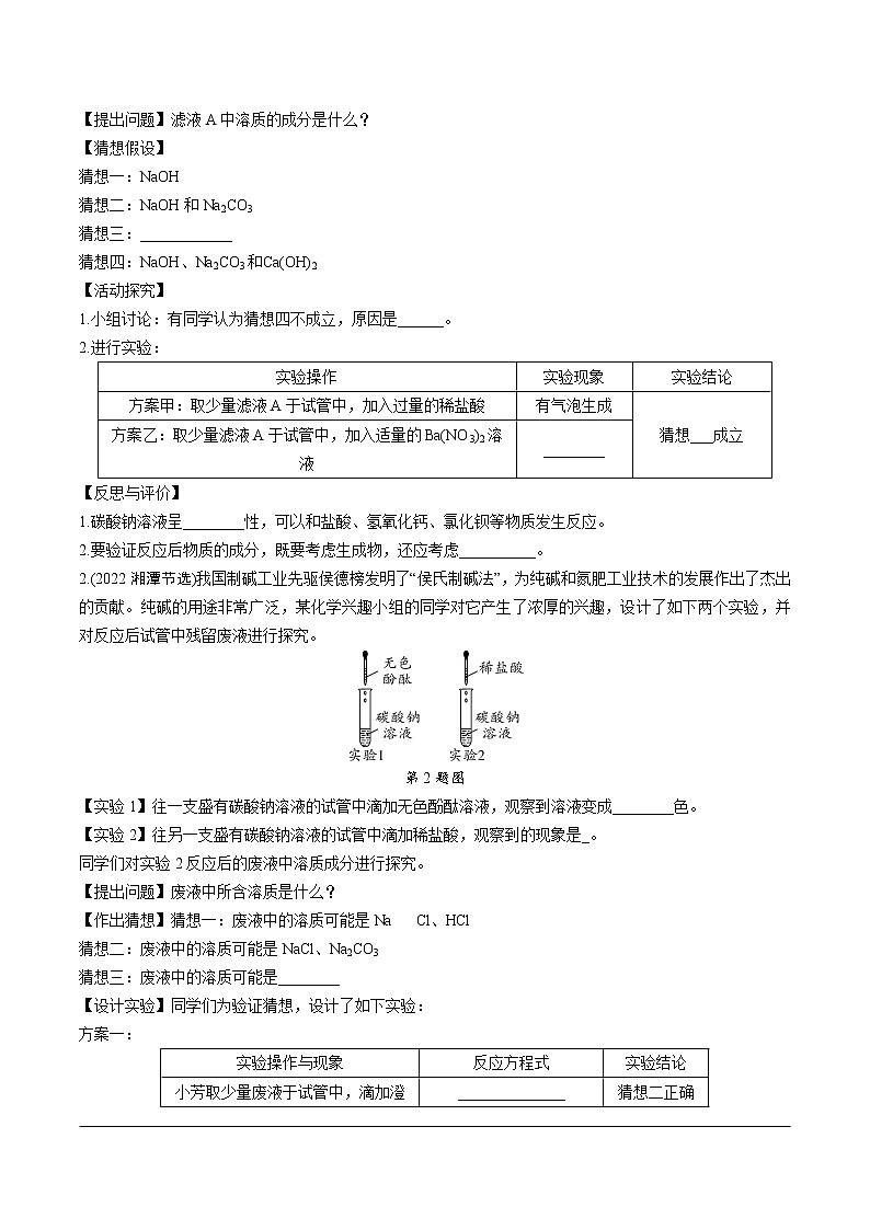 2023年中考化学一轮基础知识重点题型练习 题型六　探究性试题（无答案）第2页