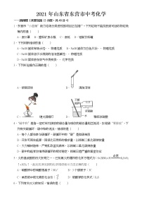 2021年山东省东营市中考化学试卷【含答案】