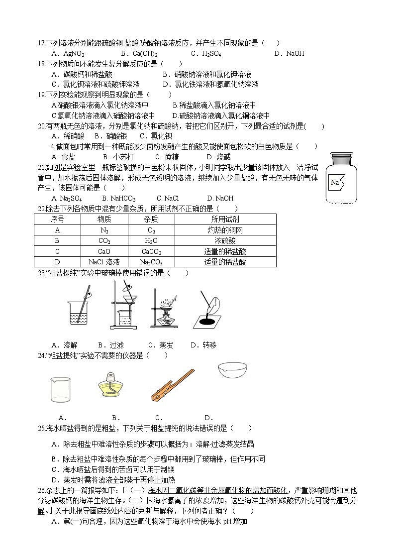 课题1 生活中常见的盐课时练习 2022-2023学年人教版化学九年级下册第2页