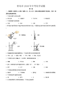 2018年青岛市中考化学试题【含答案】