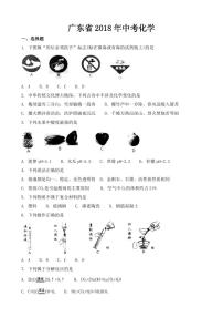 广东省2018-2022年近五年中考化学试卷PDF版附答案