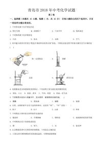 2018-2022年青岛市近五年中考化学试卷（PDF版）