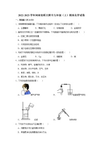 2022-2023学年河南省师大附中九年级（上）期末化学试卷