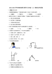 2022-2023学年河南省师大附中九年级(上)期末化学试卷