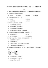 2022-2023学年河南省驻马店市正阳县九年级（上）期末化学试卷