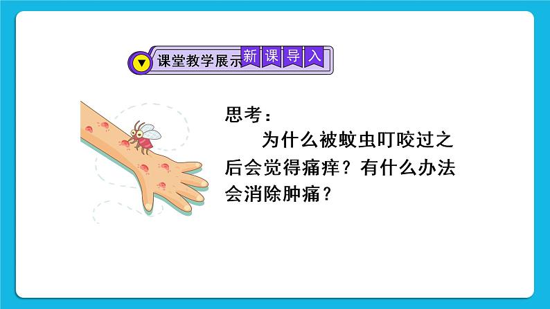 第十单元 酸和碱 课题2 酸和碱的中和反应 第一课时 中和反应 课件+教案+导学案+素材05