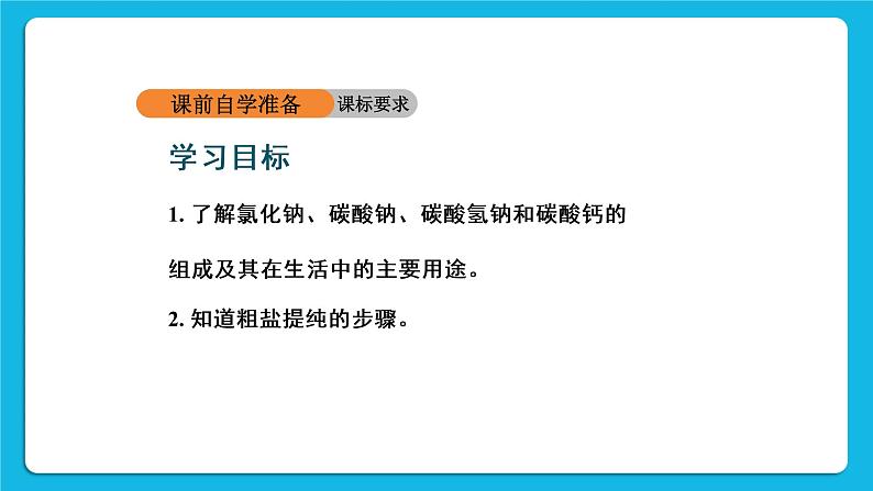 第十一单元 盐 化肥 课题1 生活中常见的盐 第1课时 常见的盐 课件+教案+导学案+素材02
