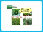 第十一單元 鹽 化肥 課題2 化學(xué)肥料 課件+教案+導(dǎo)學(xué)案+素材