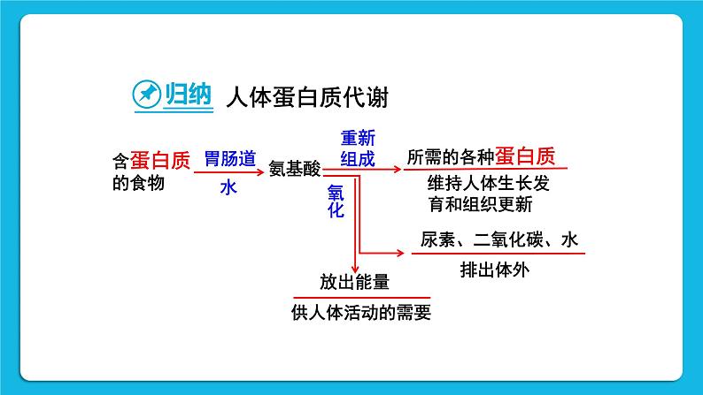 第十二单元 化学与生活 课题1 人类重要的营养物质 课件+教案+导学案+素材07