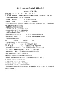 河南省三门峡市灵宝市2022-2023学年九年级上学期期末化学试题(含答案)