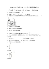 湖北省武汉市新洲区2021-2022学年九年级上学期期末化学模拟试题+三