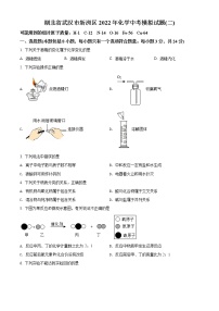 精品解析：2022年湖北省武汉市新洲区中考二模化学试题（原卷版）