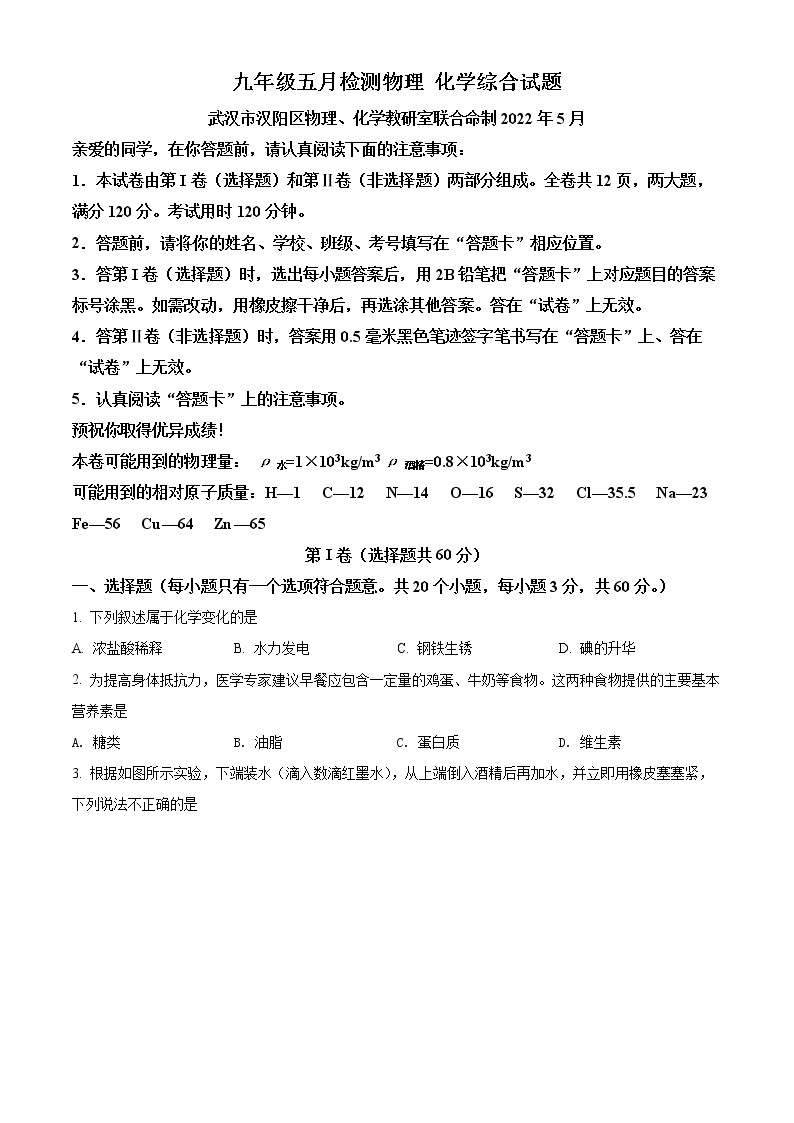精品解析：2022年湖北省武汉市汉阳区九年级五月调考化学试题（原卷版）01