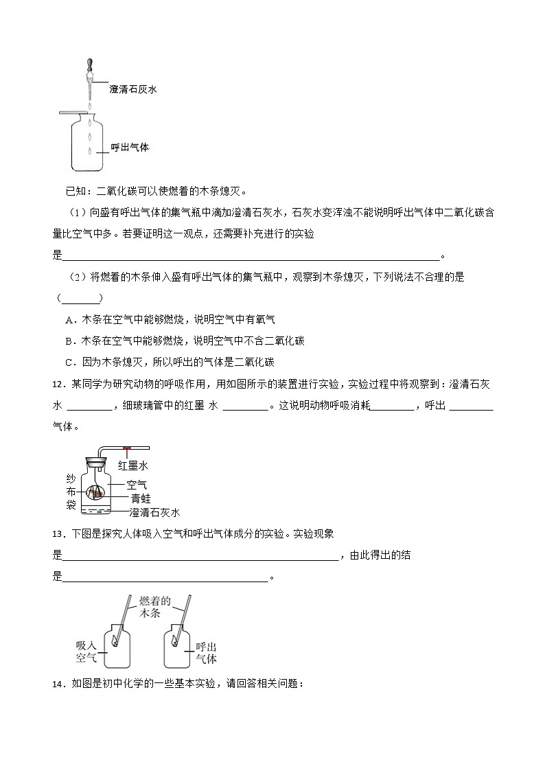 2023年化学中考基础复习--吸入空气与呼出气体的比较附解析第3页
