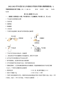 精品解析：湖北省武汉市部分学校2022-2023学年元月期末模拟调研化学试题（一）（原卷版）