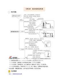 专题09  碳和碳的氧化物【考点精讲】—【中考高分导航】备战2023年中考化学考点总复习（全国通用）