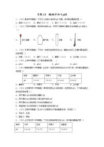 专题13  酸碱中和与pH【考点巩固】—【中考高分导航】备战2023年中考化学考点总复习（全国通用）