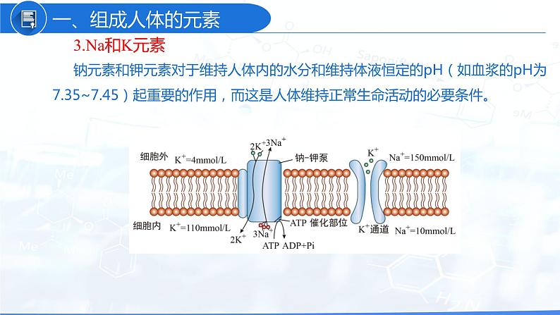 12.2 化学元素与人体健康（教学课件）-九年级化学下册同步教学课件 课时练（人教版）第8页