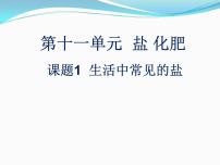 人教版九年级下册课题1 生活中常见的盐一等奖ppt课件