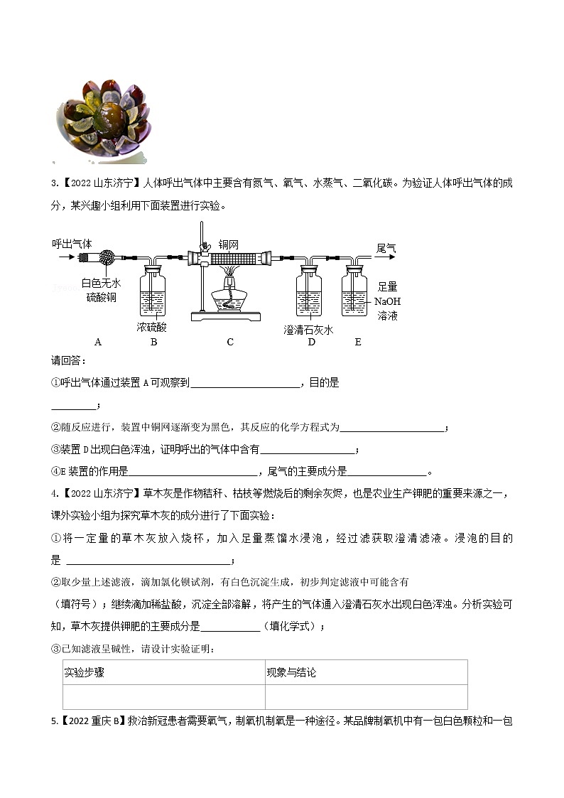 2022年中考化学真题分类汇编  专题21 物质的推断2022年中考真题分类汇编（原卷版+解析版）03