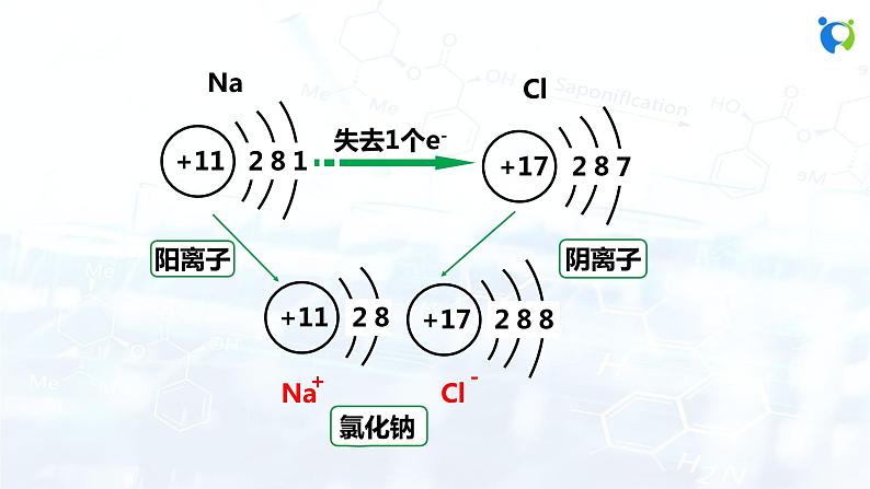 课时2 离子 相对原子质量第5页