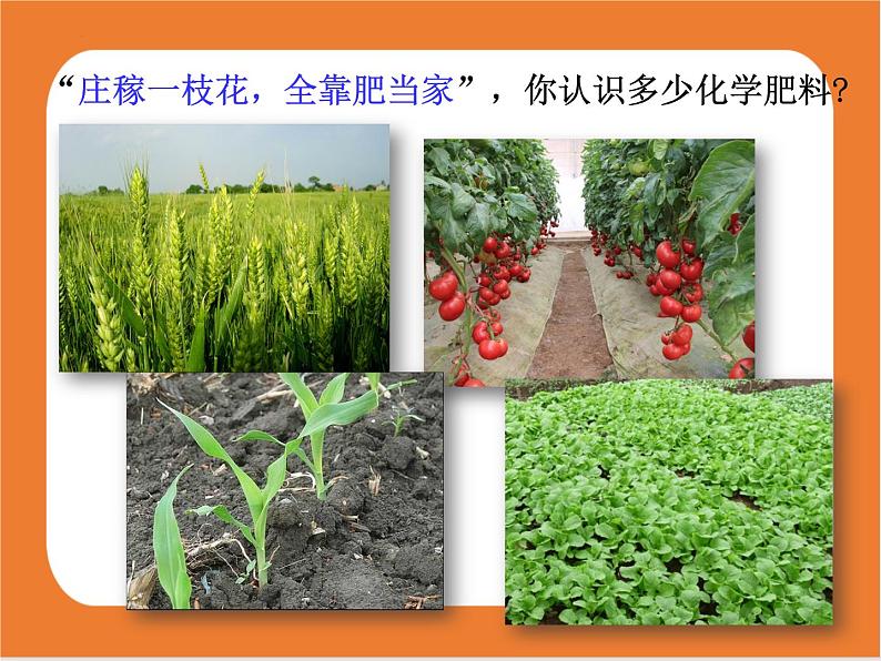 11.2化学肥料-课件（人教版）02