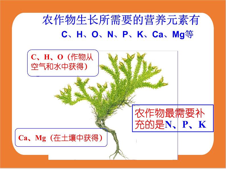 11.2化学肥料-课件（人教版）04
