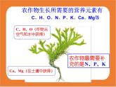 11.2化学肥料-课件（人教版）