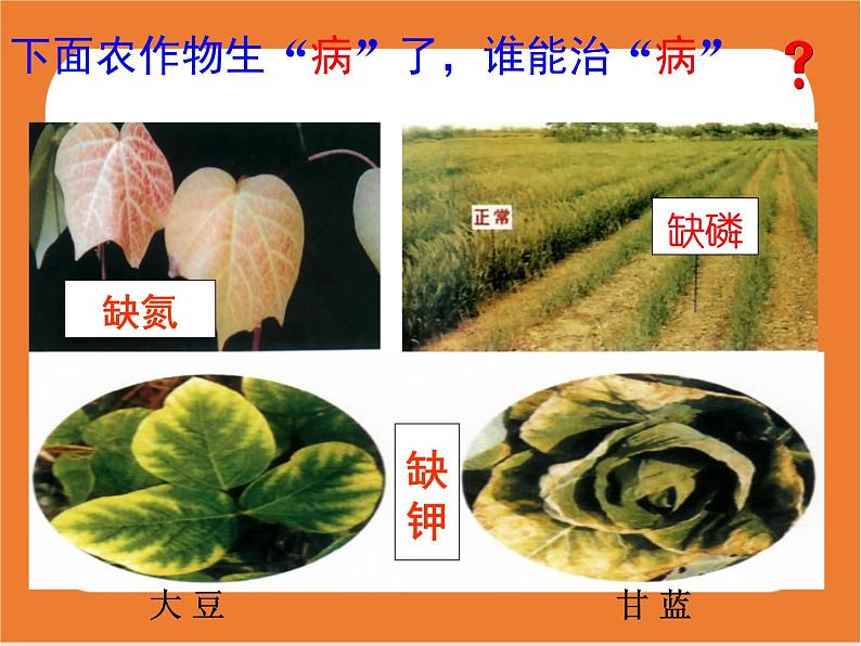 11.2化学肥料-课件（人教版）06