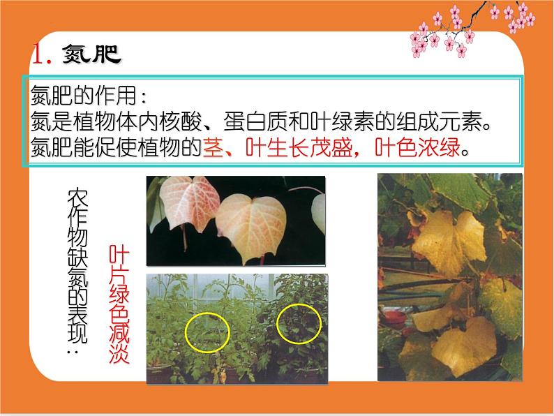 11.2化学肥料-课件（人教版）07