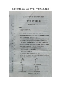 山西省晋城市阳城县2022-2023学年九年级上学期期末化学试题