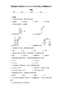 河南省新乡市辉县市2022-2023学年九年级上学期期末化学试题（含答案）