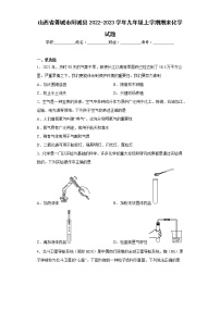 山西省晋城市阳城县2022-2023学年九年级上学期期末化学试题（含答案）