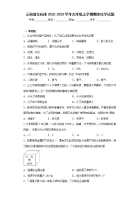 云南省文山州2022-2023学年九年级上学期期末化学试题（含答案）