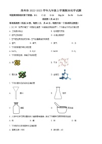 苏州市2022-2023学年九年级上学期期末化学试题（含解析）