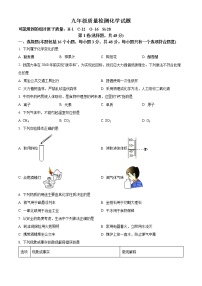 四川省成都市邛崃市2022-2023学年九年级上学期期末化学试题（含答案）