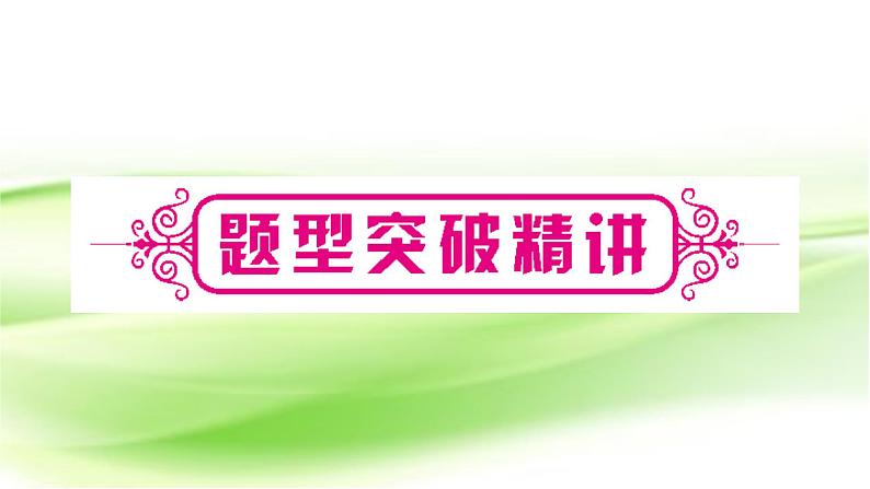 人教版中考化学复习题型突破八实验探究题作业课件第3页