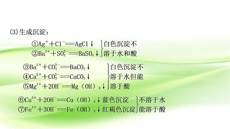 人教版中考化学复习重难突破10物质(或离子)的共存作业课件05