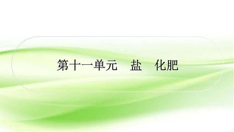 人教版中考化学复习第十一单元盐化肥作业课件01