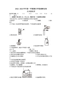 河南省周口市郸城县2022-2023学年九年级上学期期末化学试题