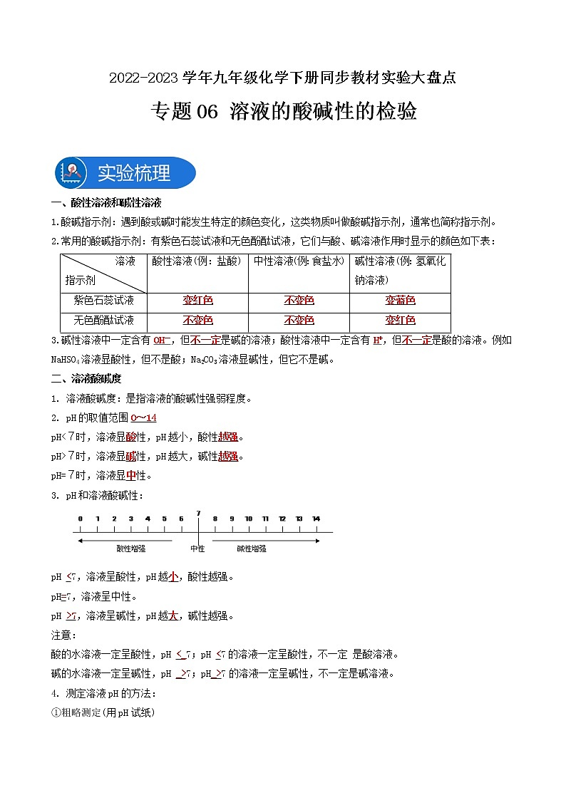 专题06溶液的酸碱性检验-2022-2023学年九年级化学下册教材实验大盘点（人教版）01